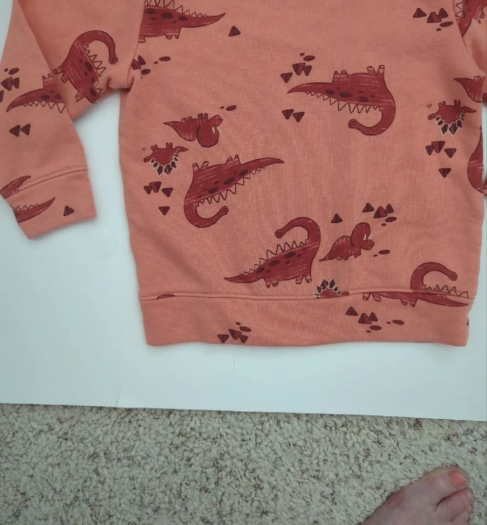 Old Navy Dinosaur Print Crewneck Sweatshirt Unisex 3T